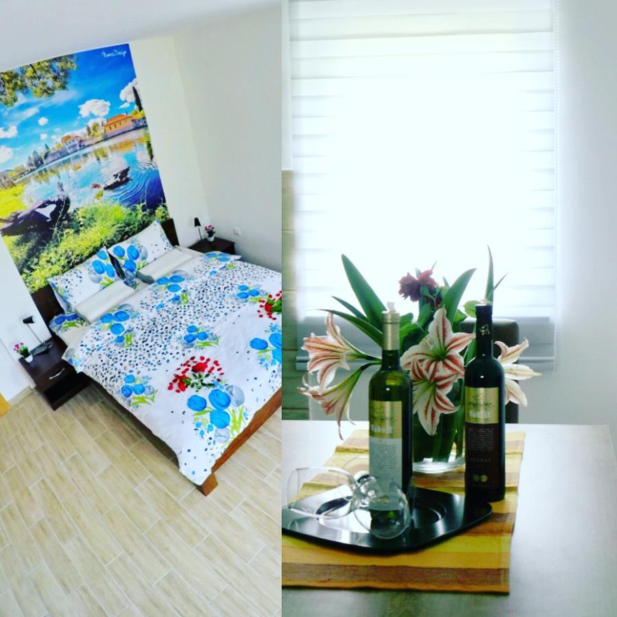 Apartments Pravica 特雷比涅 外观 照片